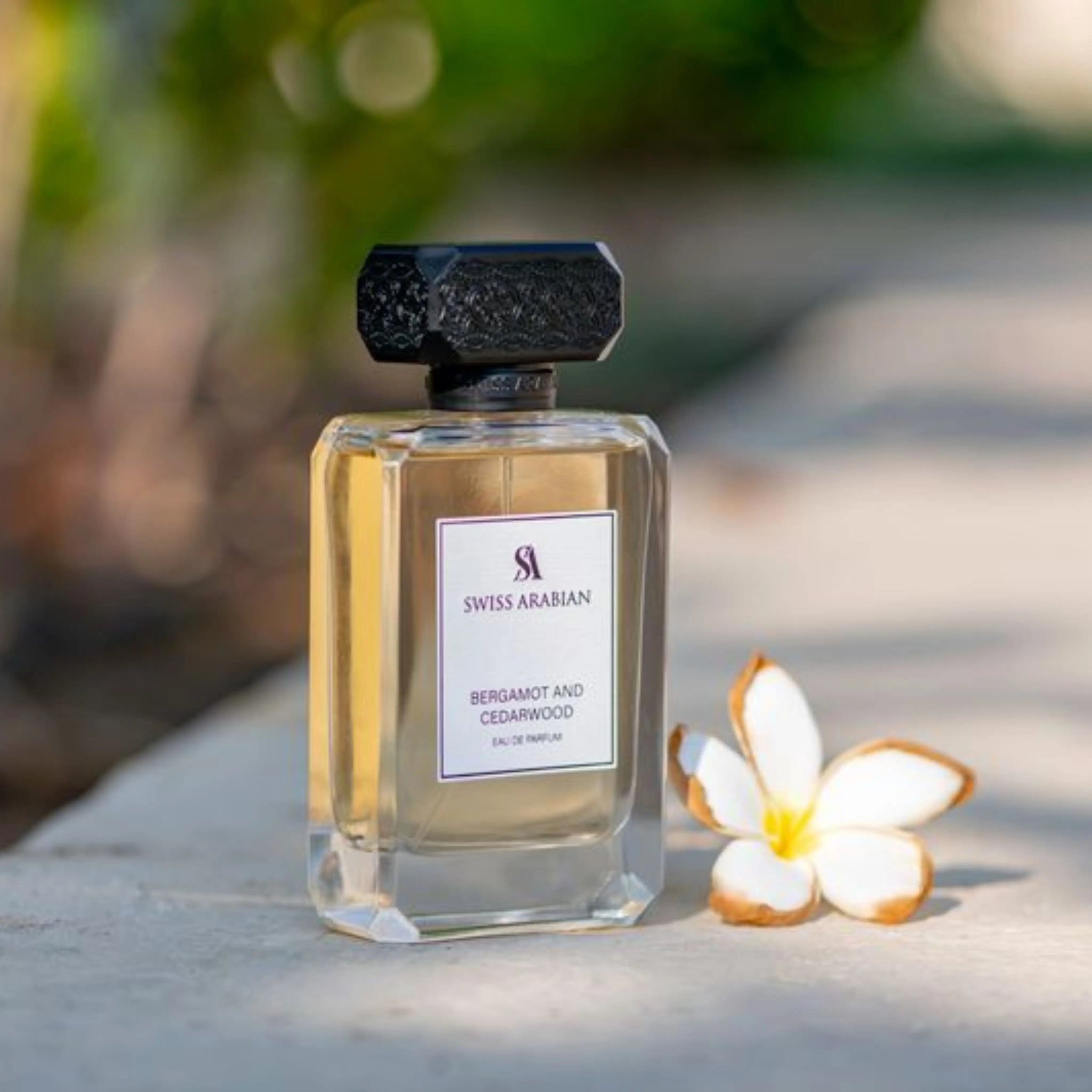 Scents Parfum Cedarwood Zesty Cedarwood Inspired By Eau Des